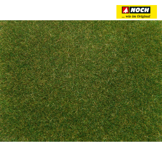 H0/TT Noch 08364 louka sředně zelená 20g