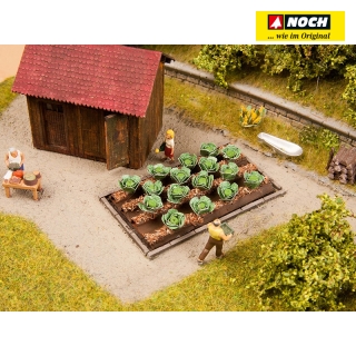 H0 Noch 13217 Záhon bíle zelí 16ks