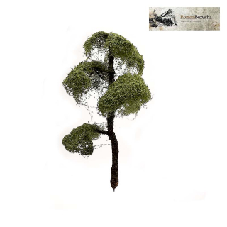 H0/TT RB 464 Platan 12-14cm