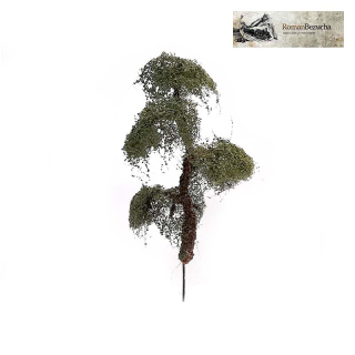 H0/TT RB 462 Platan 7cm