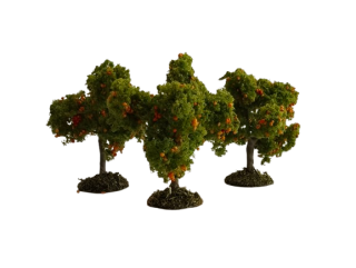 H0/TT MOBE 2653 meruňka s plody 3x 3-5 cm
