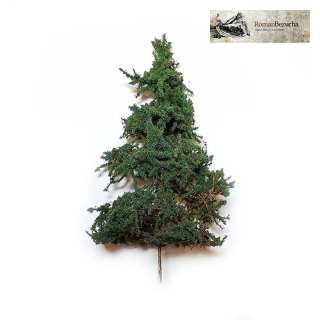 H0/TT RB 116 Smrk 14cm 