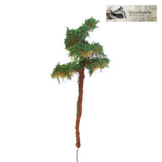 H0/TT RB 133 Borovice vysoká 11-12cm