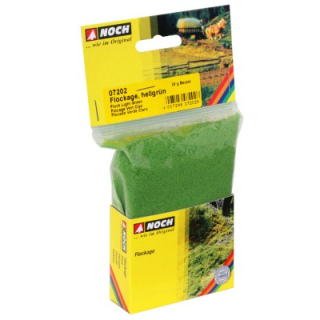 H0/TT Noch 07202 tráva Flock světle zelená 20g