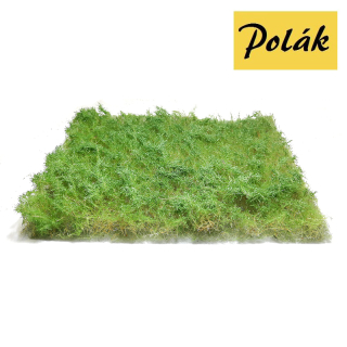 H0/TT Polák 5902 Keře divoké letní