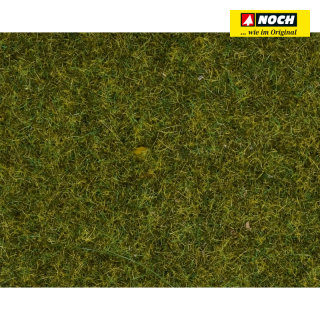H0/TT Noch 08361 tráva, louka 4mm 20g